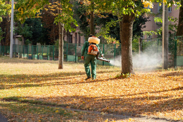 Best Pest Control Near Me in Gladstone, MI