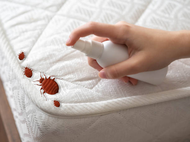 Best Insect Control  in Gladstone, MI