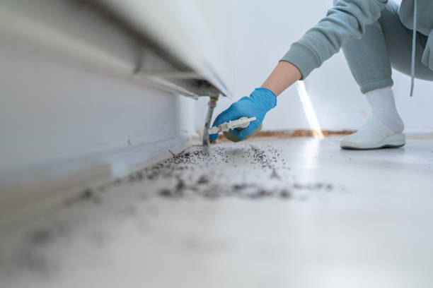 Flea Control Services in Gladstone, MI